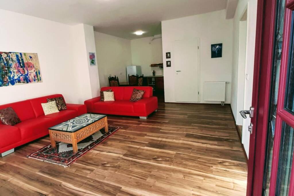 Rosen Und Rosse Appartement Zweibrücken Buitenkant foto