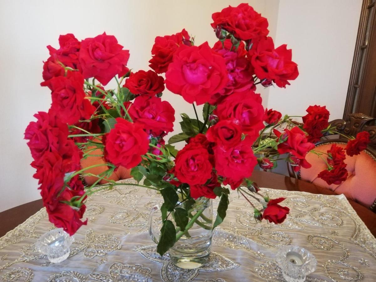 Rosen Und Rosse Appartement Zweibrücken Buitenkant foto
