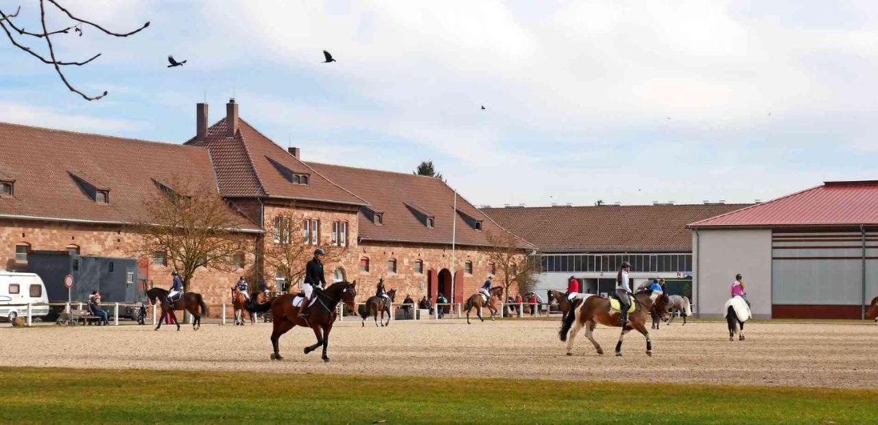 Rosen Und Rosse Appartement Zweibrücken Buitenkant foto